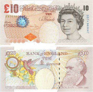 Sertifikalı Ürünlerİngiltere (Great Britain), 10 Pound (2004) P#389 ÇİL Eski Kağıt Para